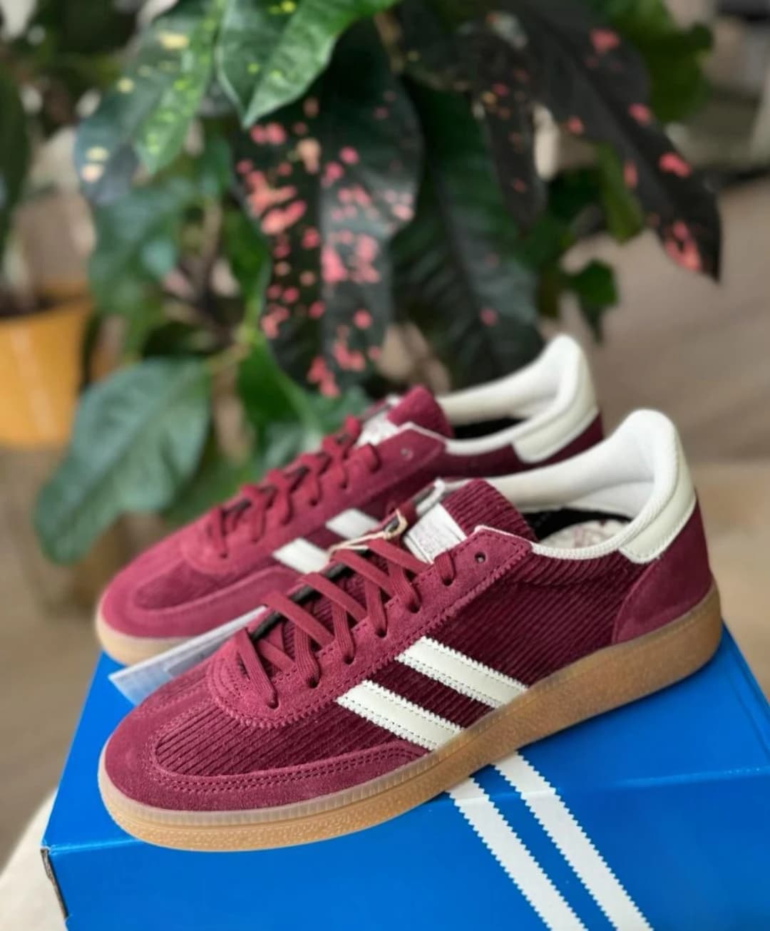 Product Zapatillas Spezial Adidas Pana